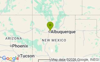 Google Map Image for MILLIE ANN BLEVINS