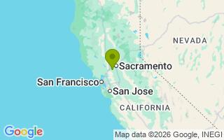 Google Map Image for Olivia
