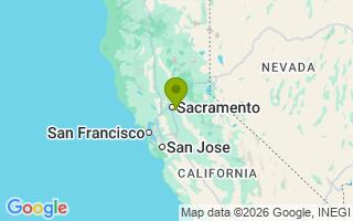 Google Map Image for Frida