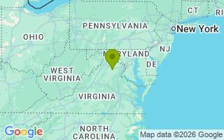 Google Map Image for Millie