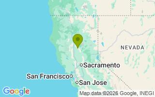 Google Map Image for Mr.Wiener