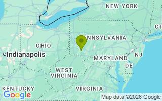 Google Map Image for Bird
