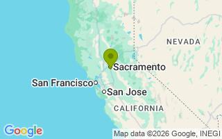Google Map Image for Bodhi