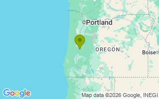 Google Map Image for Stink 