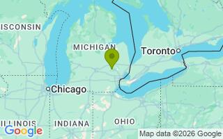 Google Map Image for Capone