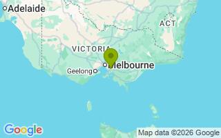 Google Map Image for BamBam
