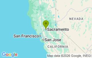 Google Map Image for Bolt